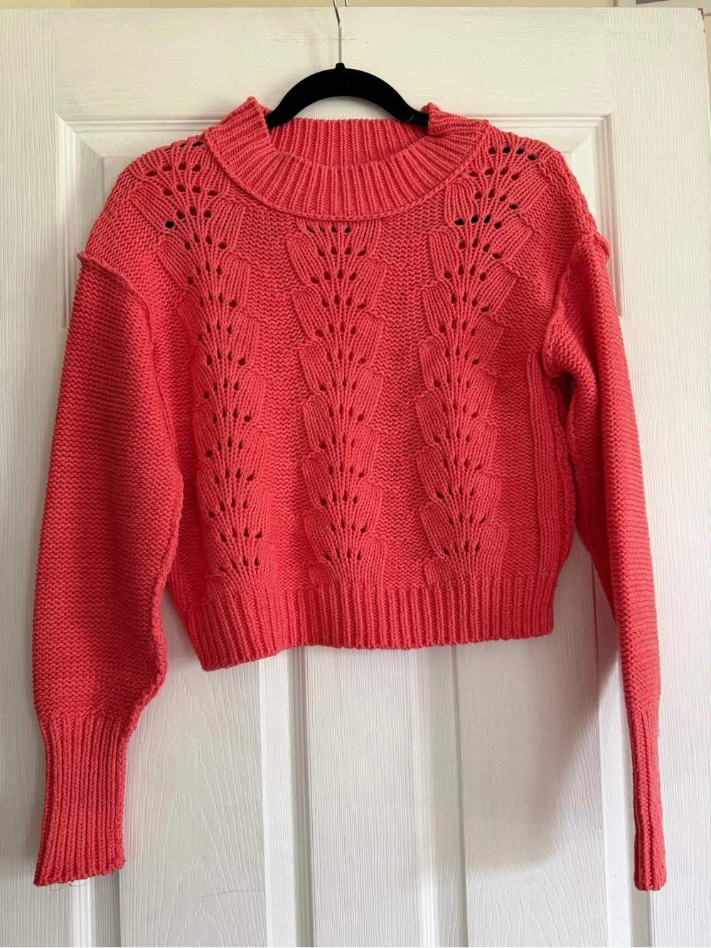 Free People Coral Cropped Openwork Crewneck Sweater XS